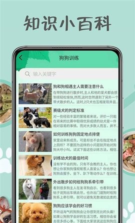 小狗交流器 V1.0.1截图3
