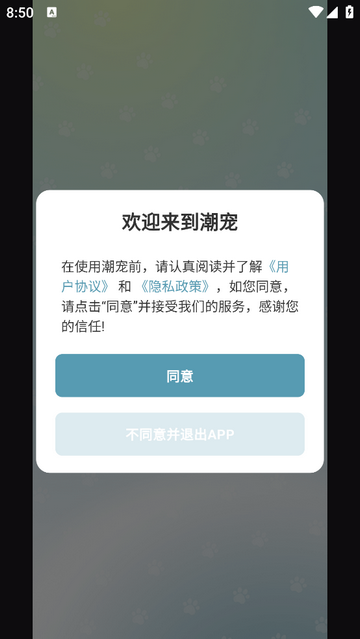 潮宠2025最新版 V1.1.1截图2