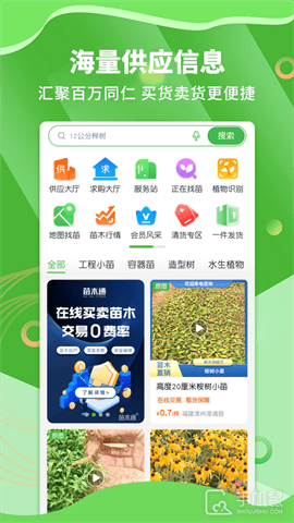 苗木通 V5.12.31截图1