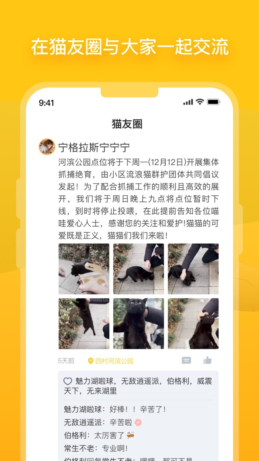 哈喽街猫 V2.3.1截图1