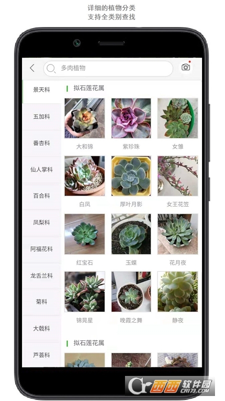 行色识花(拍照识花) V2.1.22.22012410安卓版截图1