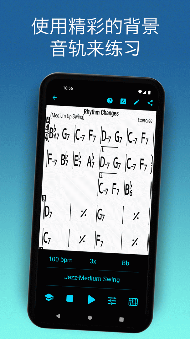 iReal Pro V2025.7-china截图1