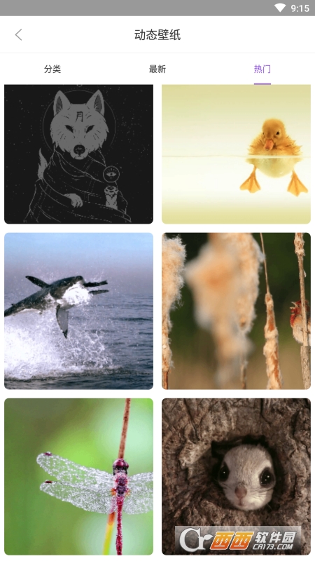 手机主题大全app V1.0.9 安卓版截图4