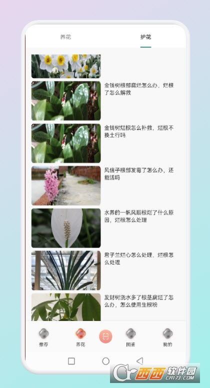 拍照识花草 V1.1截图1