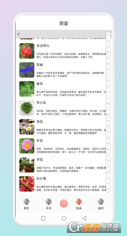 拍照识花草 V1.1截图2