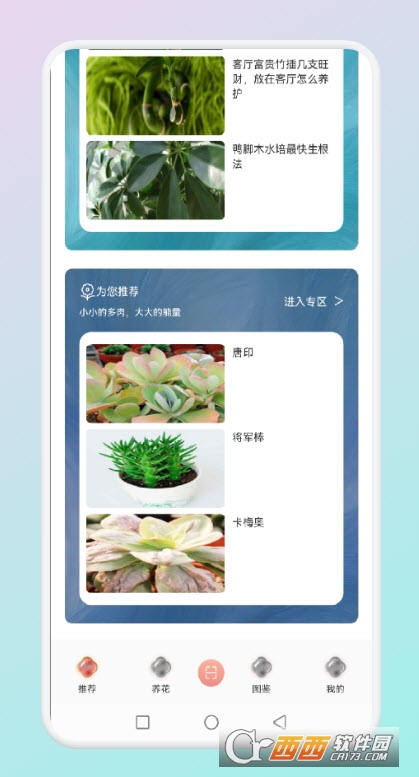 拍照识花草 V1.1截图3