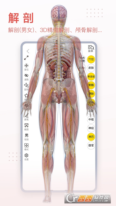 3Dbody宠物(3Dbody解剖) V8.6.21 安卓版截图3