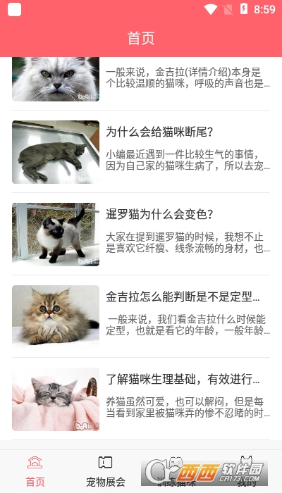 CPCat养宠百科 V1.3.0截图2