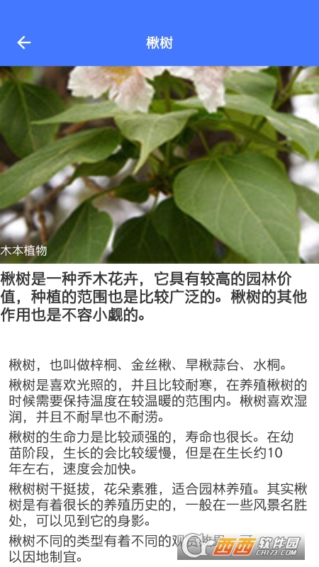 好用拍照识别 V1.0.4 安卓版截图1