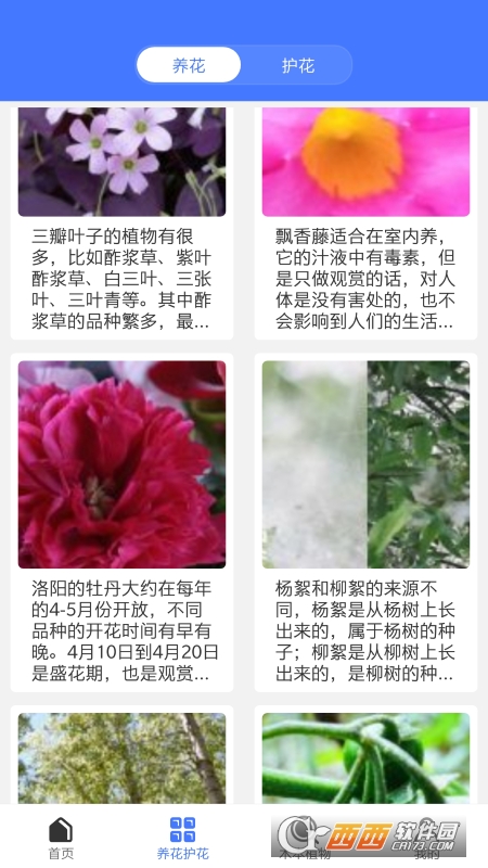 好用拍照识别 V1.0.4 安卓版截图2