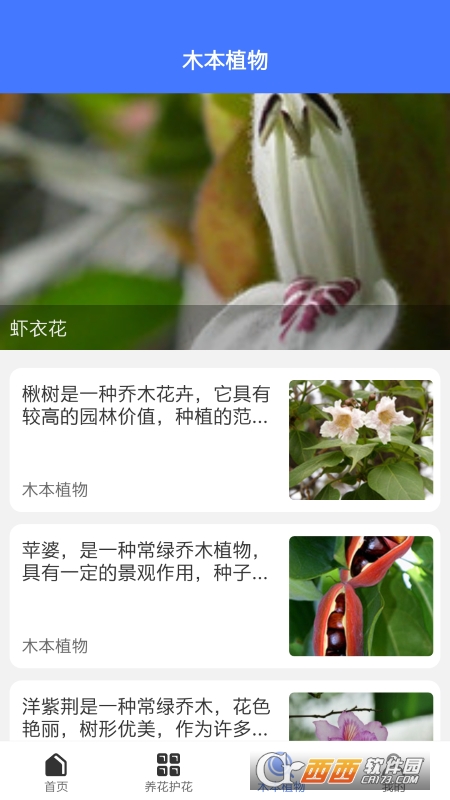 好用拍照识别 V1.0.4 安卓版截图3