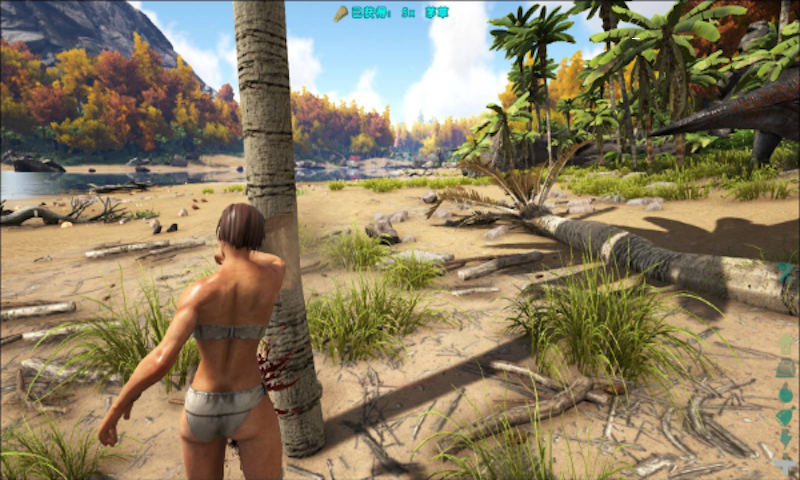 日游神秘岛游戏官方安卓版 V1.0截图2