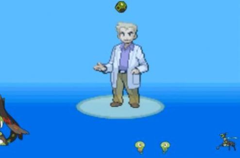 精灵宝可梦激进红3.0汉化版全随机版 V3.0截图1