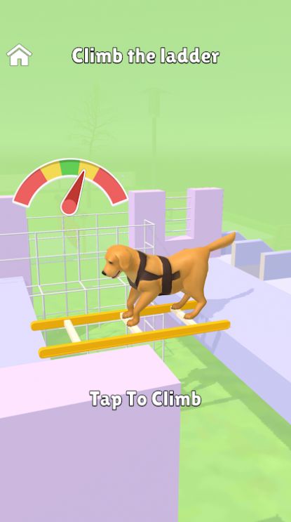 超级狗训练游戏安卓版(Hyper Dog Training) V1.0.1截图2