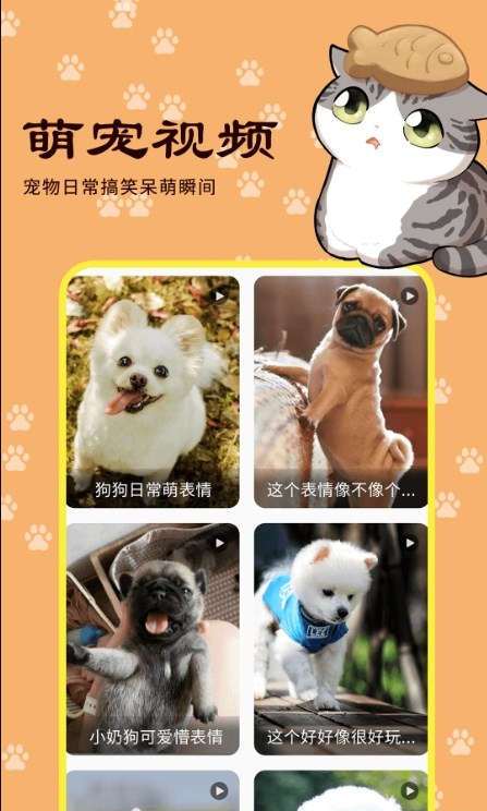 宠本本免费下载安卓app V1.0.1截图1