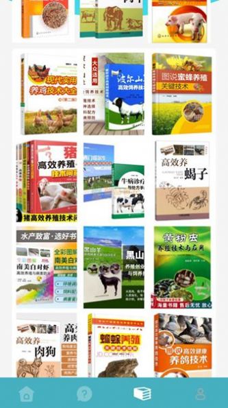 养殖猪猪世界APP手机版 V1.1截图1