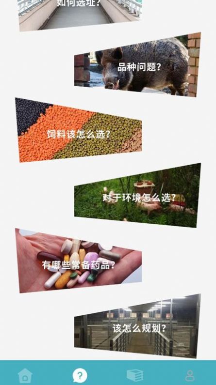 养殖猪猪世界APP手机版 V1.1截图2
