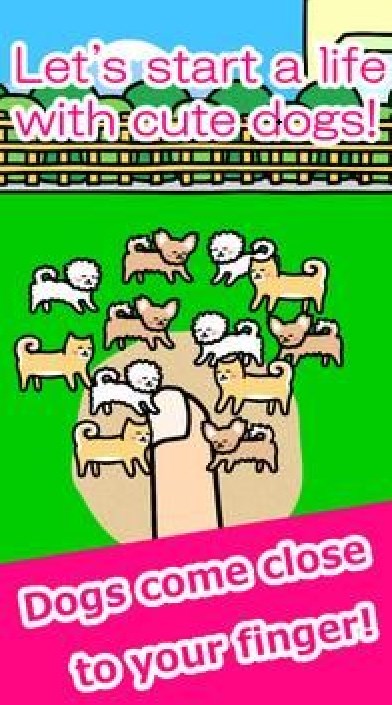 和狗一起玩游戏下载安装(Play with Dogs) V3.0.0截图1