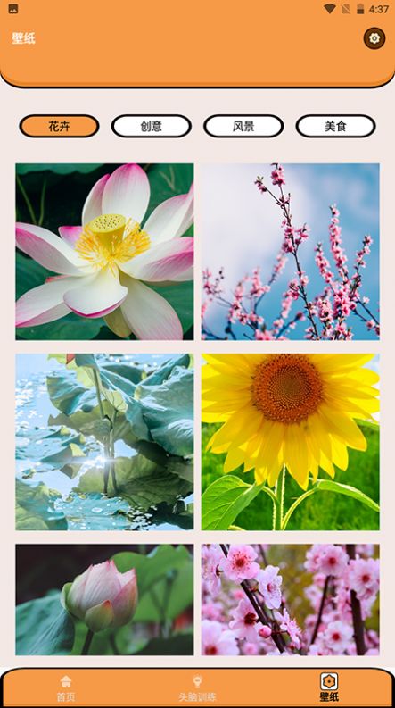 超能王国游戏官方最新版 V1.1截图1