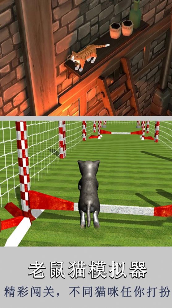老鼠猫模拟器游戏下载安装 V1.0截图2