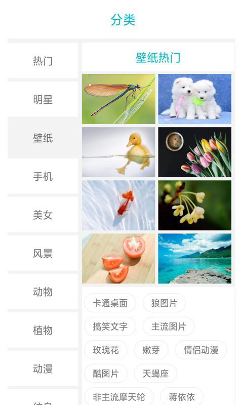 搜图界app最新版 V1.2.1截图1