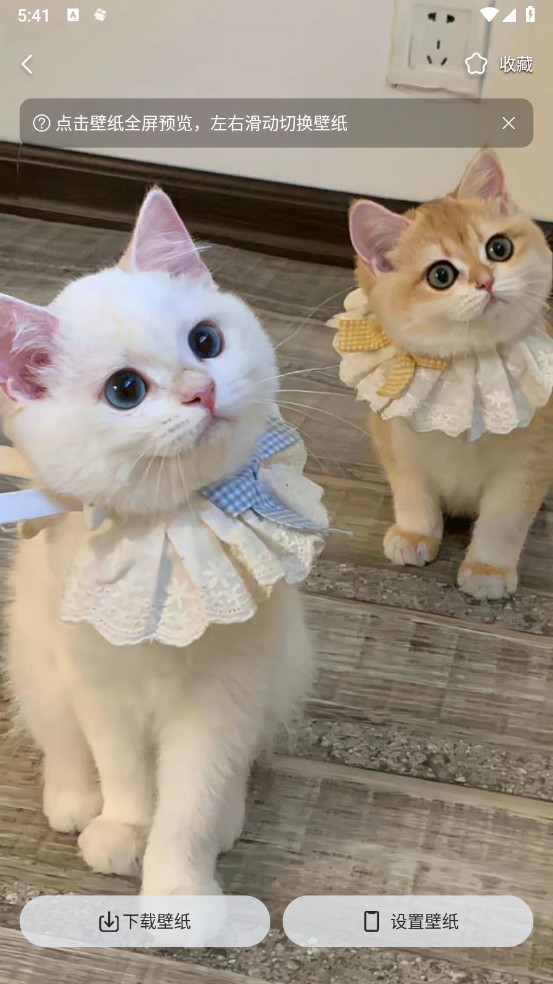 万能小组件top widgets