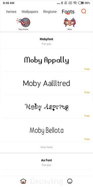 小米国际版主题app