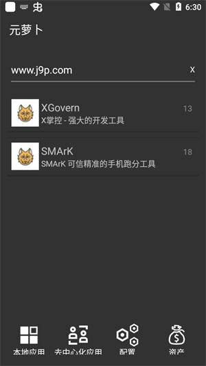 元萝卜分身 V1.0.7截图3