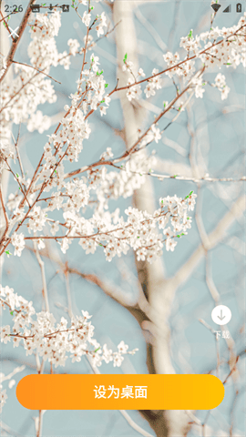 元气手机壁纸 V1.0.0截图1