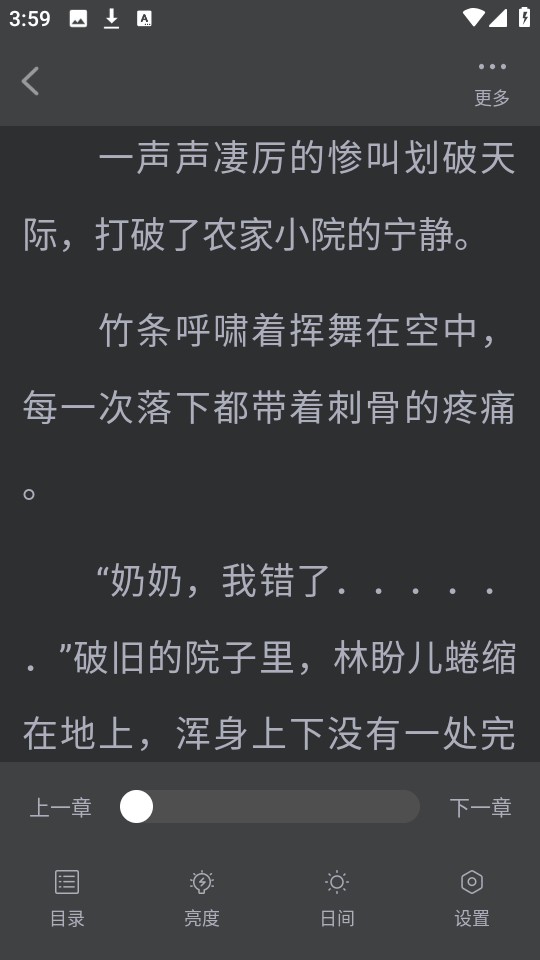 怎么免费阅读小说截图5