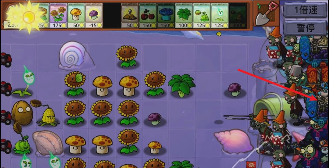 植物大战僵尸时空之乱