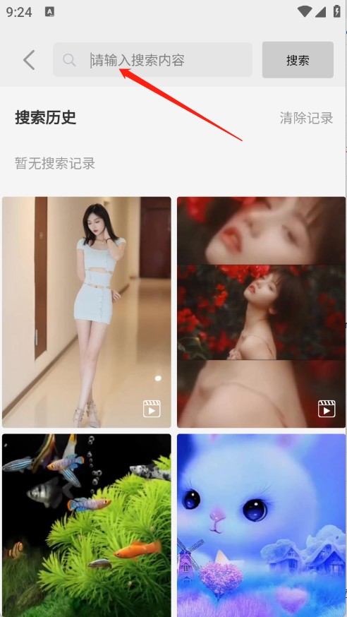 随心手机壁纸