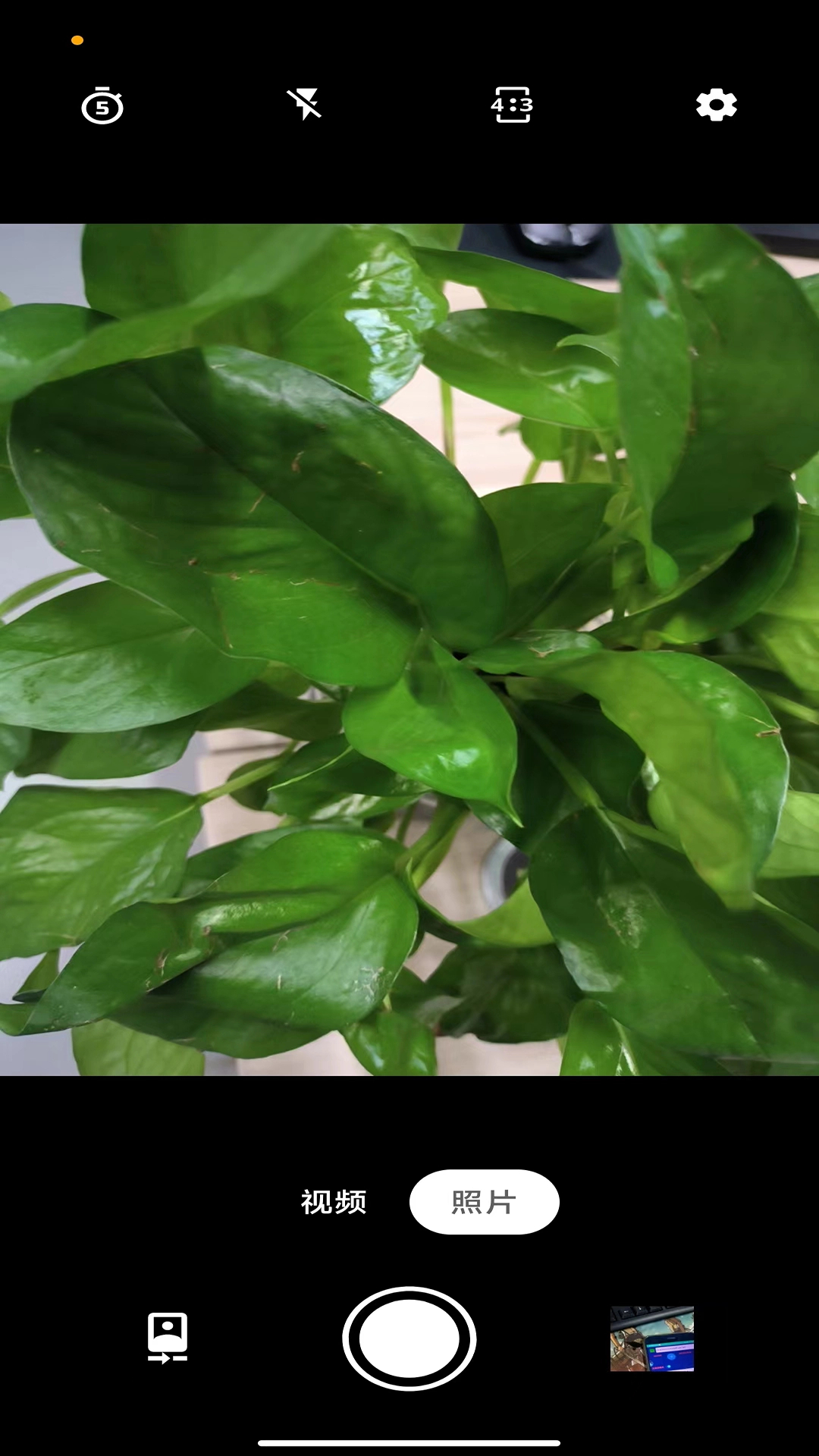 亚甜相机 V1.0.0截图3