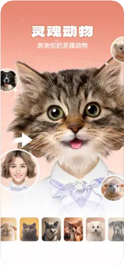 动物系长相测试app V截图3