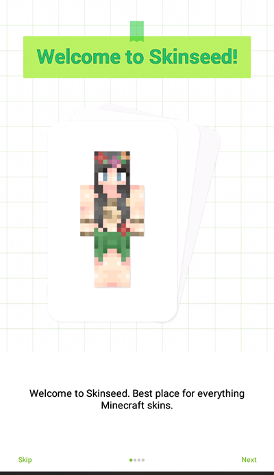 skinseed皮肤制作器 6.5.13-截图3