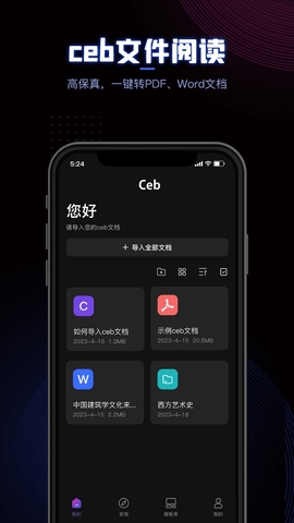 ceb文件阅读器 V1.0截图3
