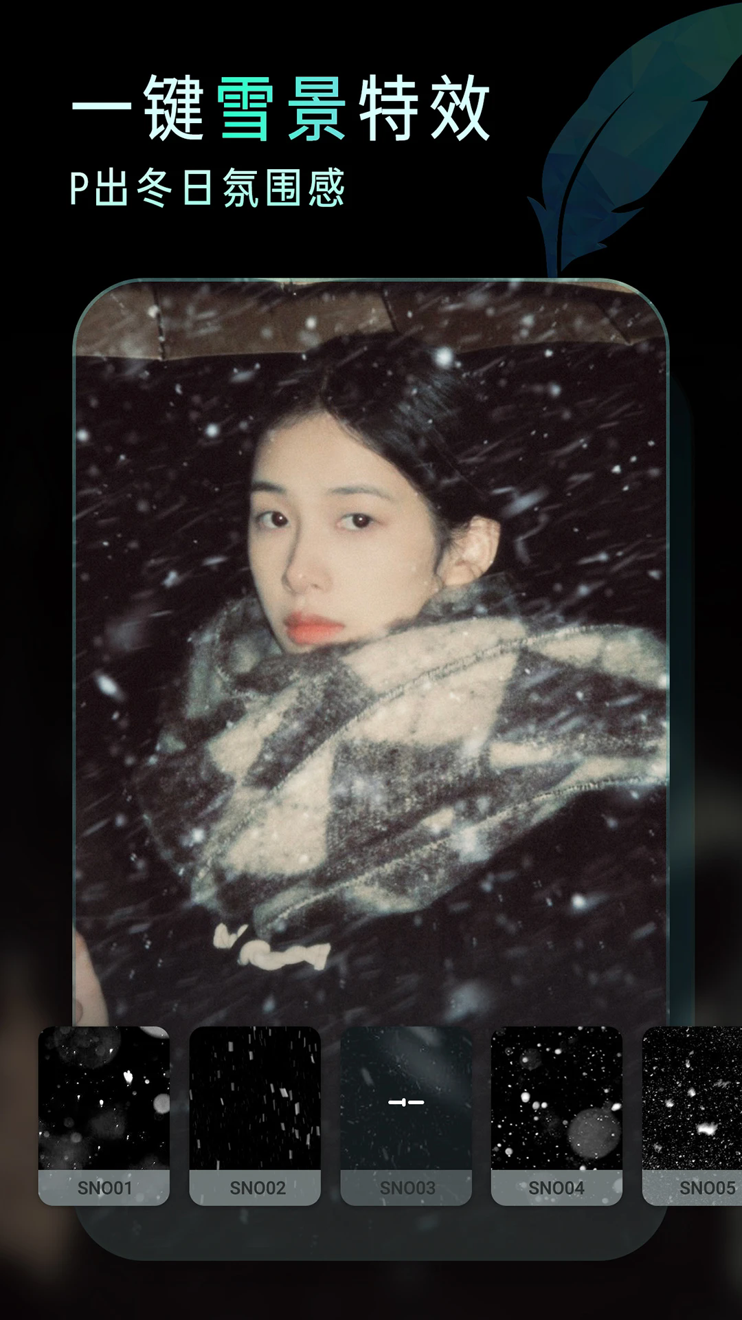 Koloro V6.2.7截图1