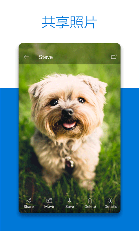 微软网盘onedrive安卓版 V7.22Beta3截图2