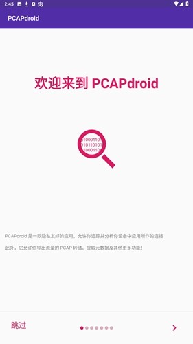 pcapdroid抓包工具 V1.9.1截图4