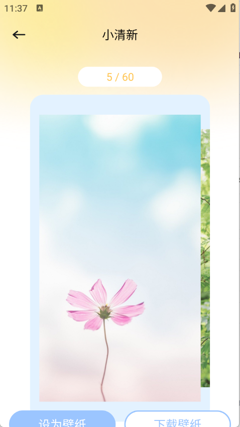壁纸秀秀鸭 V1.2截图3