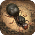 蚁族时代手游官方正式版  V1.31.0
