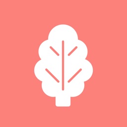 菠菜管理系统 V1.9.4 安卓版