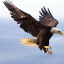 思归定位软件下载 V2.2.8 安卓版