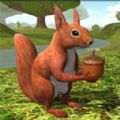 模拟松鼠大冒险游戏官方手机版  V2.0