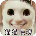 猫猫惊魂1.4版本下载安装  V1.4