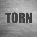 TORN撕裂之城游戏中文手机版  V1.9.15