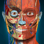 AnatomyLearning(3D 解剖学) V2.1.351 安卓版