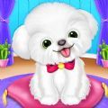 宠物狗狗养成日记游戏下载安装  V1.0.0