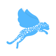 飞小豹约车app V1.21.0 安卓版