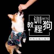 训狗教程大全 V1.0.3